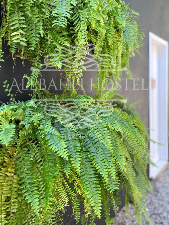 Alebahli ᵇʸ ᴬᴸᴱᴮᴬᴴᴸᴵ *